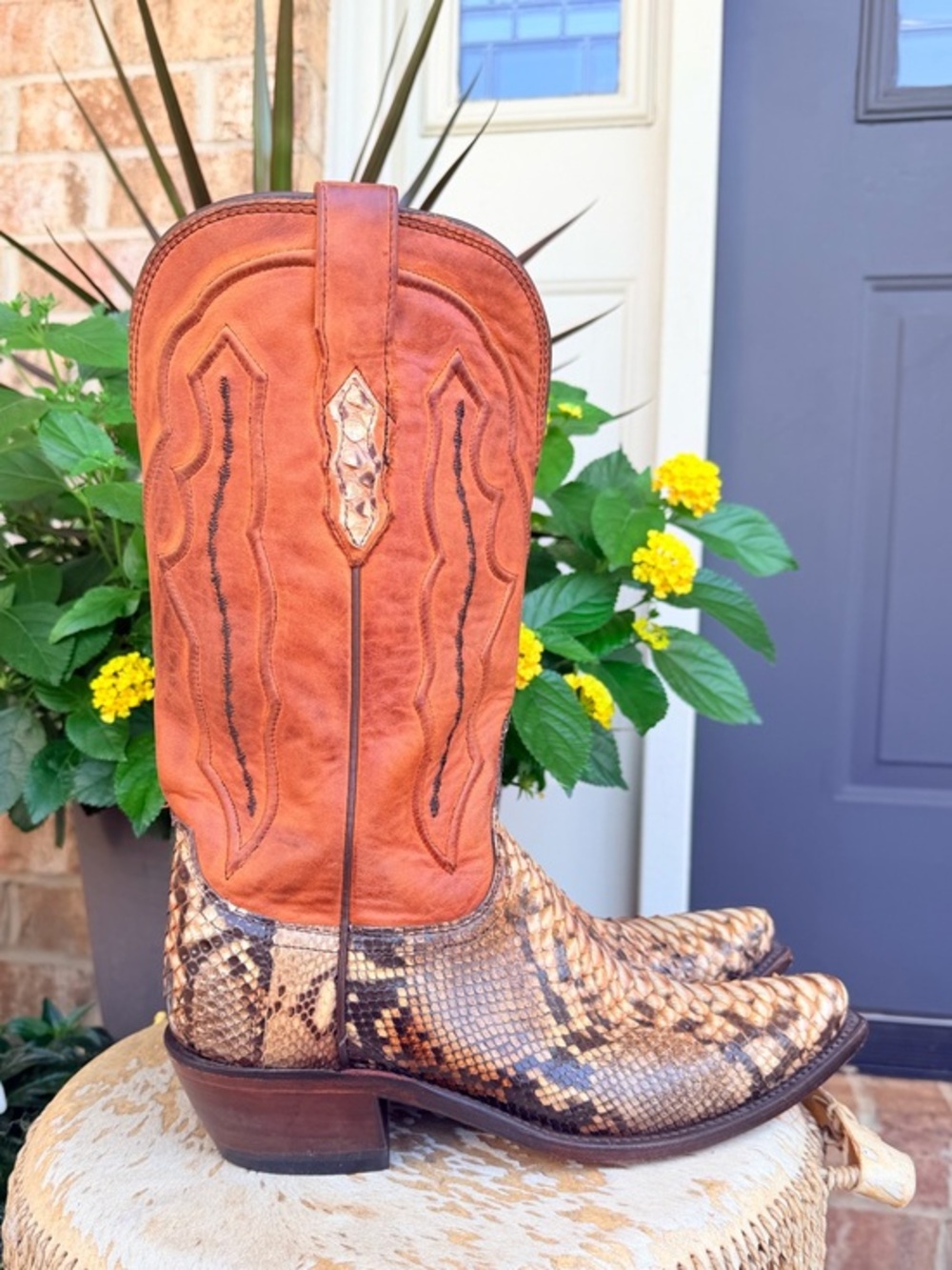 RARE Lucchese Python Snakeskin Brown Leather Pull On Snip Toe Cowboy Boots 8 - Picture 8 of 15